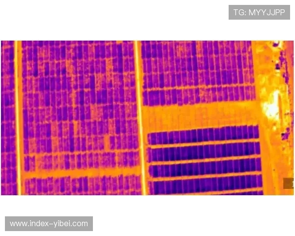 生物识别技术大规模应用 实现体育场所无感通行